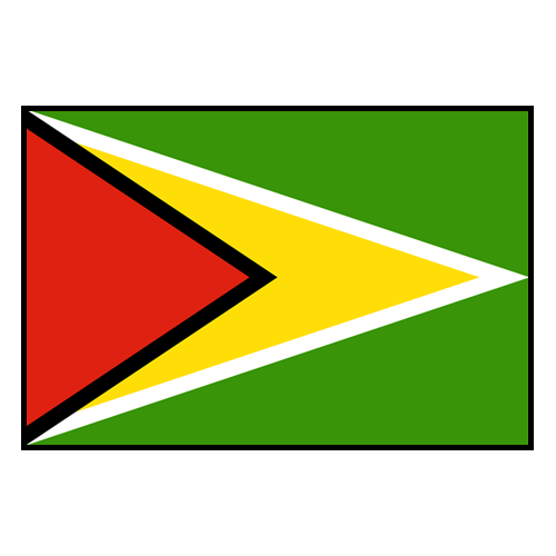 Guyana flag