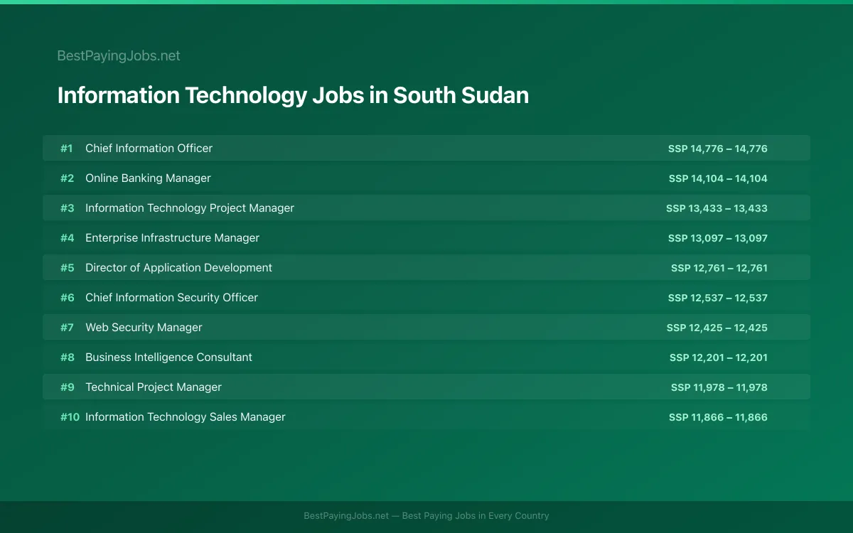 Highest paying Information Technology jobs in South Sudan